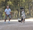 DOGFRISBEE_15