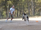 DOGFRISBEE_17