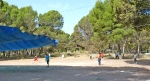 DOGFRISBEE_18
