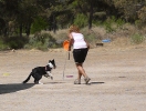 DOGFRISBEE_38