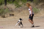 DOGFRISBEE_39