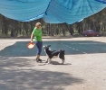 DOGFRISBEE_40
