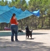 DOGFRISBEE_44