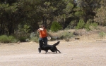 DOGFRISBEE_47