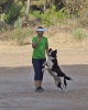 DOGFRISBEE_4