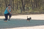 DOGFRISBEE_53