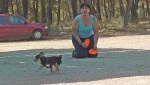 DOGFRISBEE_54