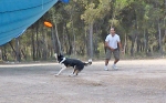 DOGFRISBEE_9