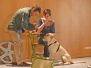 INTRODUCCION A CLICKER TRAINING :: Con Santi