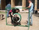 Inciación al Aro