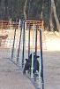 PRUEBA AGILITY JULIO 2011 CLUB ALHAMBRA