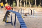 PRUEBA AGILITY JULIO 2011 CLUB ALHAMBRA