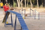 PRUEBA AGILITY JULIO 2011 CLUB ALHAMBRA