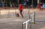 PRUEBA AGILITY JULIO 2011 CLUB ALHAMBRA