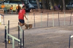 PRUEBA AGILITY JULIO 2011 CLUB ALHAMBRA