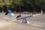 PRUEBA AGILITY JULIO 2011 CLUB ALHAMBRA