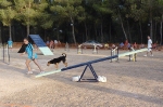 PRUEBA AGILITY JULIO 2011 CLUB ALHAMBRA