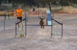 CLUB ALHAMBRA PRUEBA AGILITY JULIO 2011 :: PRUEBA AGILITY CLUB ALHAMBRA JULIO 2011