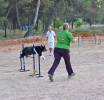 PRUEBA AGILITY CLUB ALHAMBRA JULIO 2011