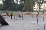 PRUEBA AGILITY CLUB ALHAMBRA JULIO 2011