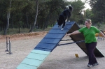 PRUEBA AGILITY CLUB ALHAMBRA JULIO 2011