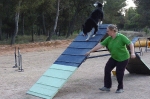 PRUEBA AGILITY CLUB ALHAMBRA JULIO 2011