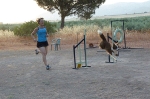 PRUEBA AGILITY CLUB ALHAMBRA JULIO 2011