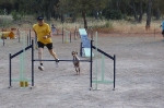 PRUEBA AGILITY CLUB ALHAMBRA JULIO 2011