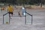 PRUEBA AGILITY CLUB ALHAMBRA JULIO 2011