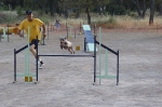 PRUEBA AGILITY CLUB ALHAMBRA JULIO 2011