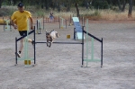 PRUEBA AGILITY CLUB ALHAMBRA JULIO 2011