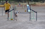 PRUEBA AGILITY CLUB ALHAMBRA JULIO 2011