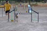 PRUEBA AGILITY CLUB ALHAMBRA JULIO 2011