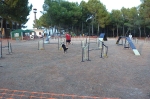 PRUEBA AGILITY CLUB ALHAMBRA JULIO 2011