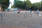 PRUEBA AGILITY CLUB ALHAMBRA JULIO 2011