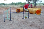 PRUEBA AGILITY CLUB ALHAMBRA JULIO 2011