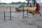 PRUEBA AGILITY CLUB ALHAMBRA JULIO 2011