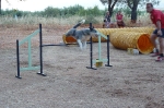 PRUEBA AGILITY CLUB ALHAMBRA JULIO 2011