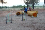 PRUEBA AGILITY CLUB ALHAMBRA JULIO 2011
