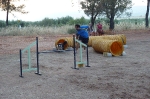 PRUEBA AGILITY CLUB ALHAMBRA JULIO 2011