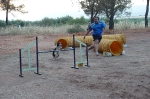 PRUEBA AGILITY CLUB ALHAMBRA JULIO 2011