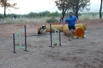 PRUEBA AGILITY CLUB ALHAMBRA JULIO 2011