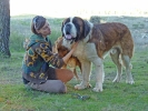 Irene, Gordon y Coco