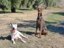 Ares y Lola