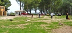 Adiestramiento en Obediencia