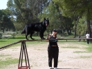 agility :: Duque en la pasarela con Felisa