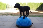 Nora en el bosu