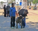 CONCURSO CHIRIVEL 2011