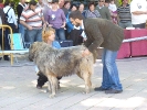 CONCURSO CHIRIVEL 2011