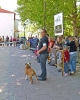 CONCURSO CHIRIVEL 2011